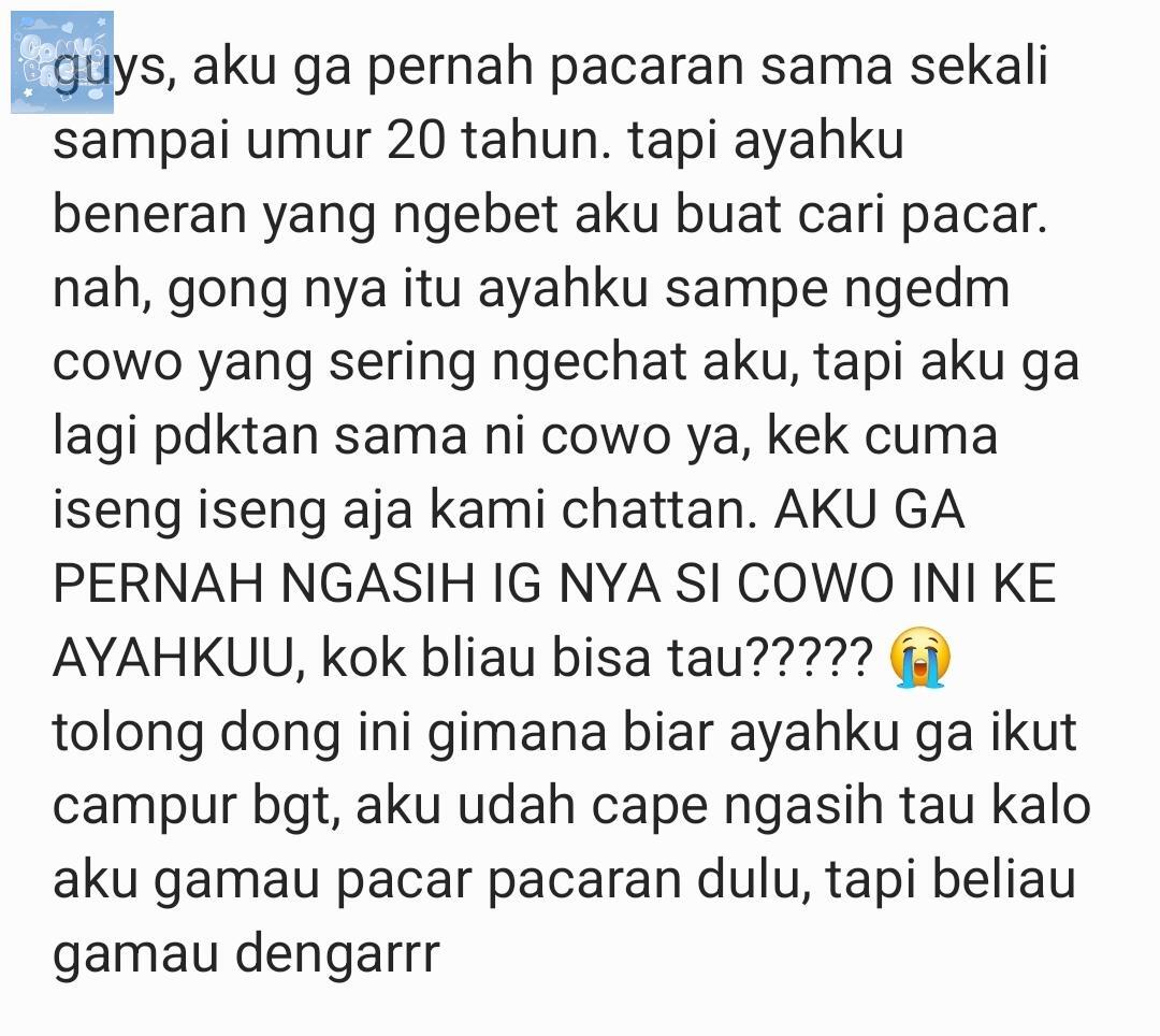 💙 CONVOBASE tweet media