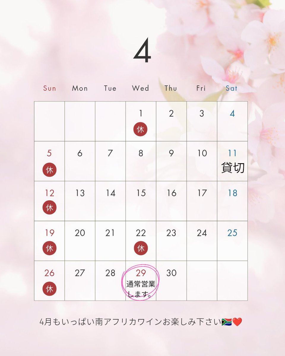 Mitamari tweet media