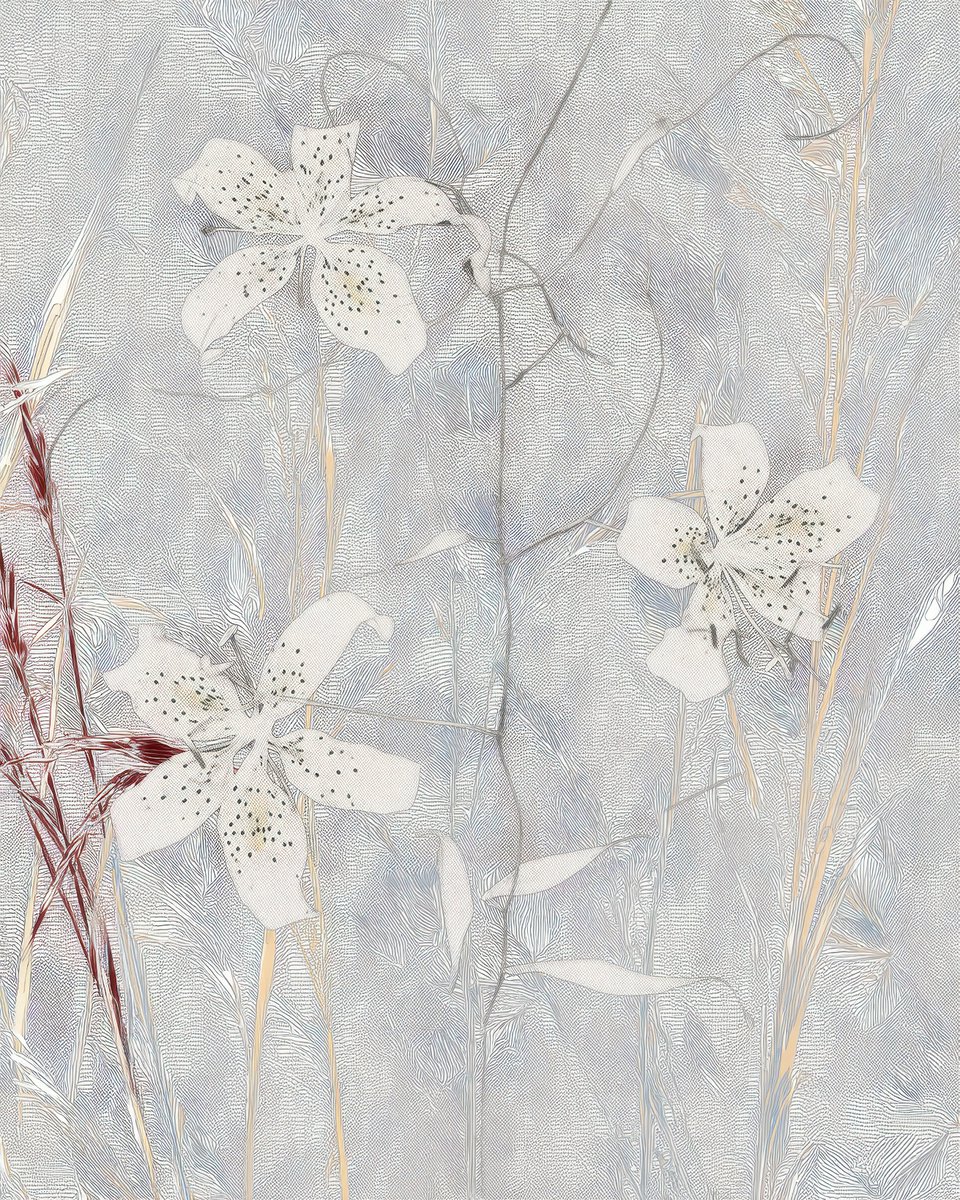 Anna Condo tweet media