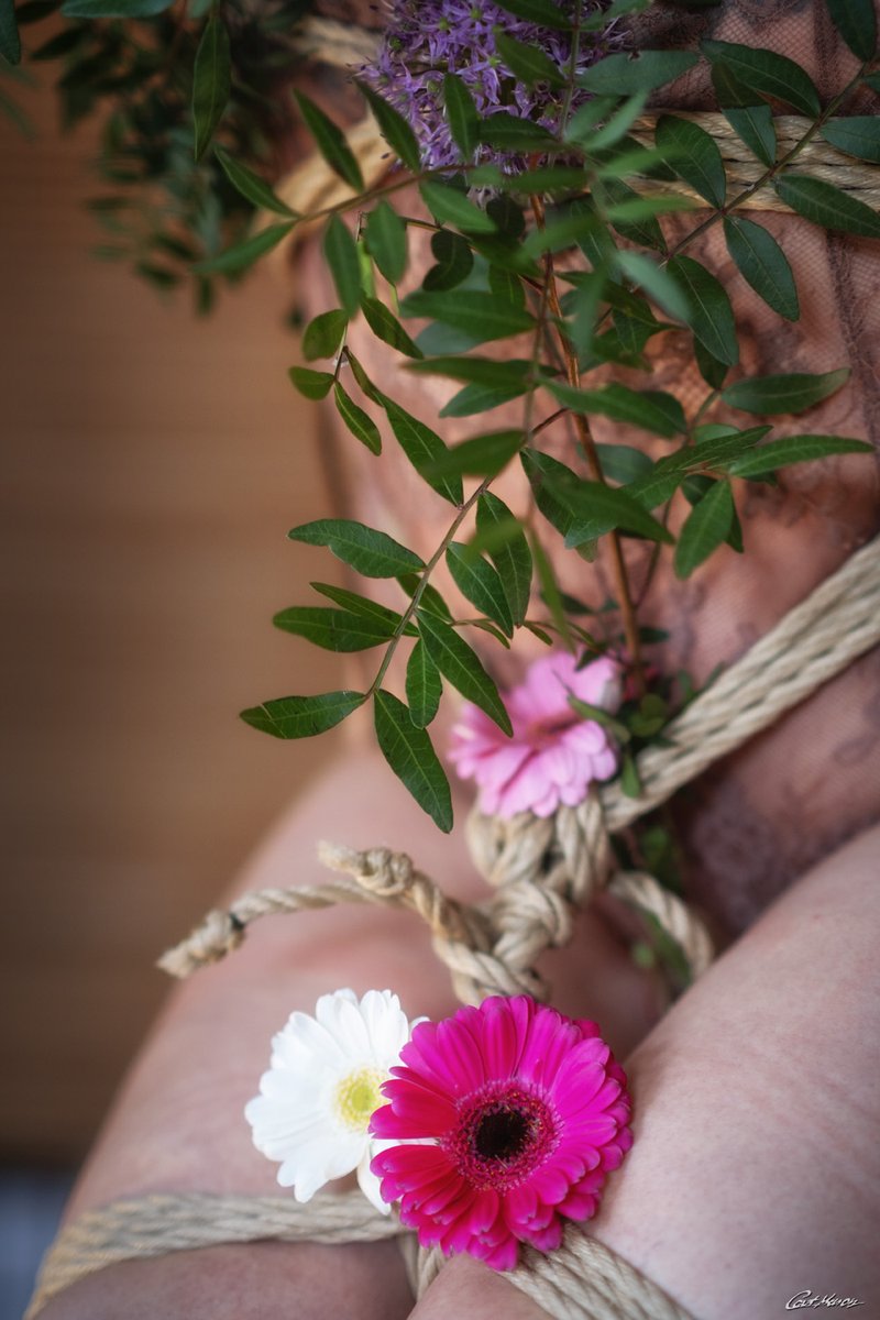 catmason_ropes's tweet photo. Hanawa no Mugen (2026)
#HanawaNoMugen #JuteBlossoms #ShibariFlower #femaleshibari #bondageART #bdsmART #mädchenbondage #KinbakuPoetry #catmason #shibari #kinbaku #rigger #ropebunny #ukete #ropeart #juterope #stuttgart #modelswanted
Pls comment & share :) Thanks! https://t.co/LKQmI2KHG5