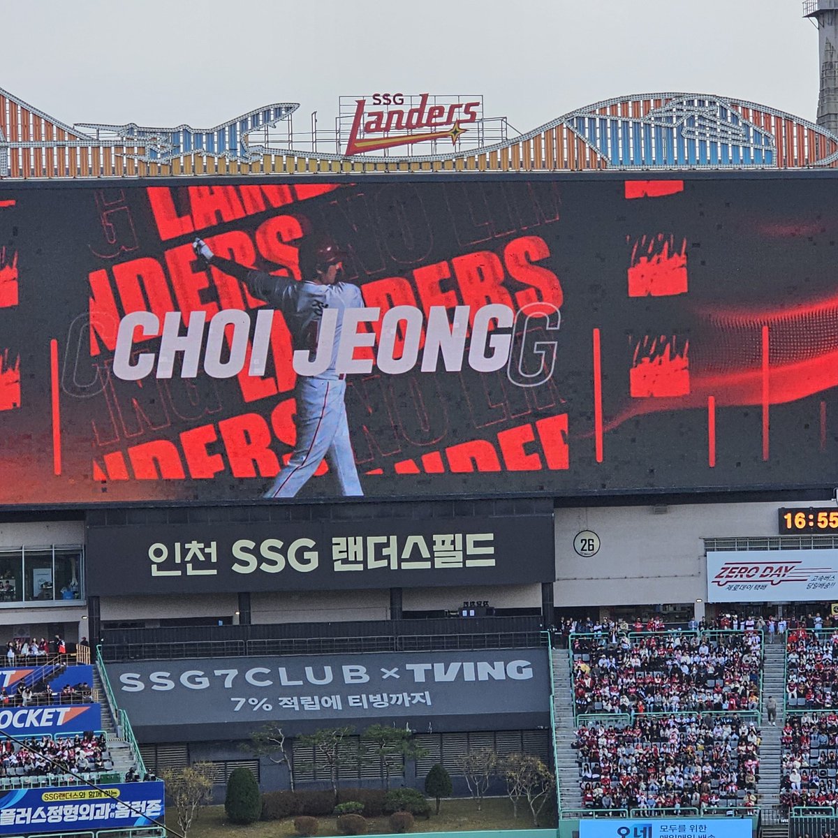 노을빛고양이 tweet media