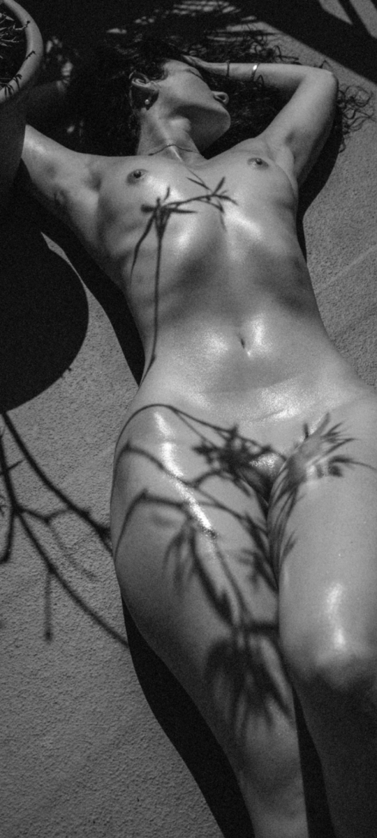 Love&Rockets tweet media