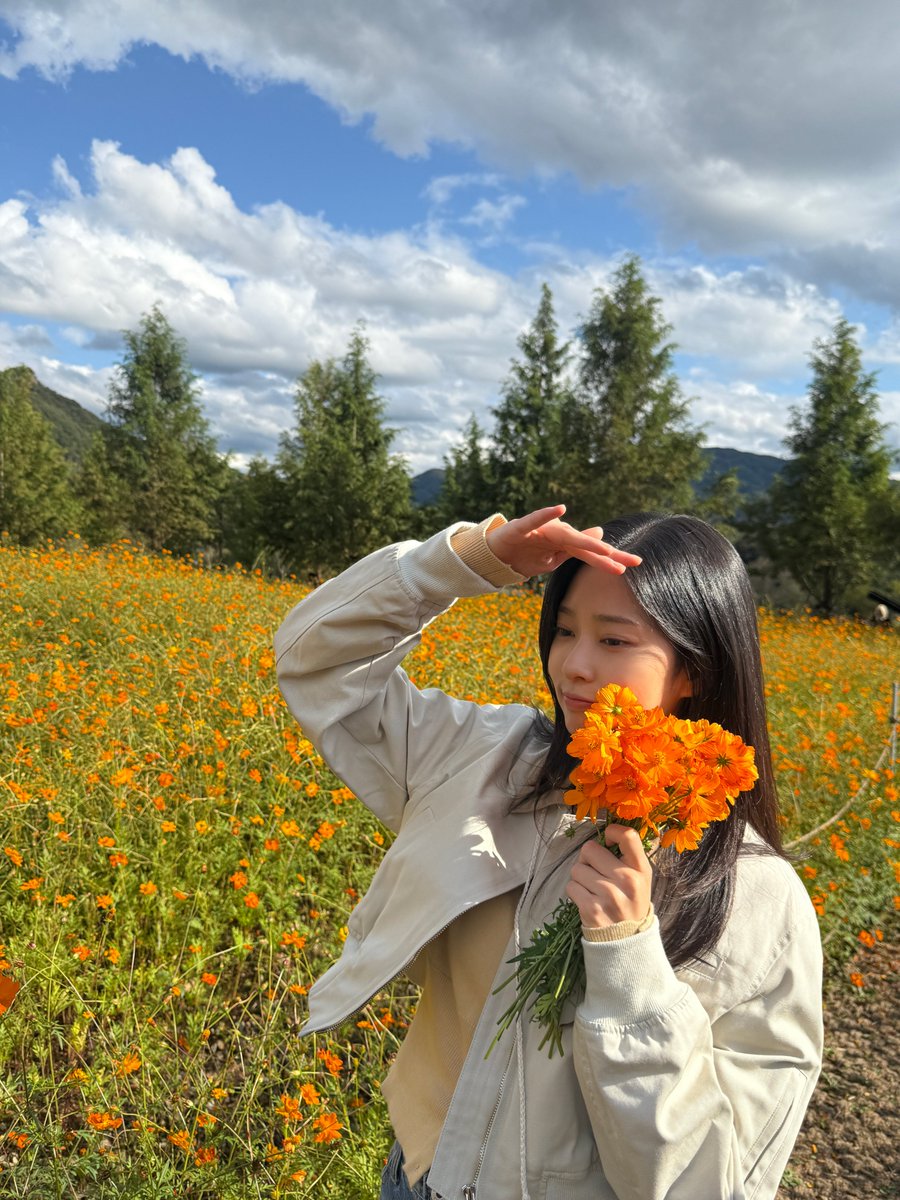 숲블리 tweet media