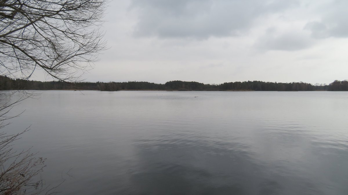 Kouťák tweet media