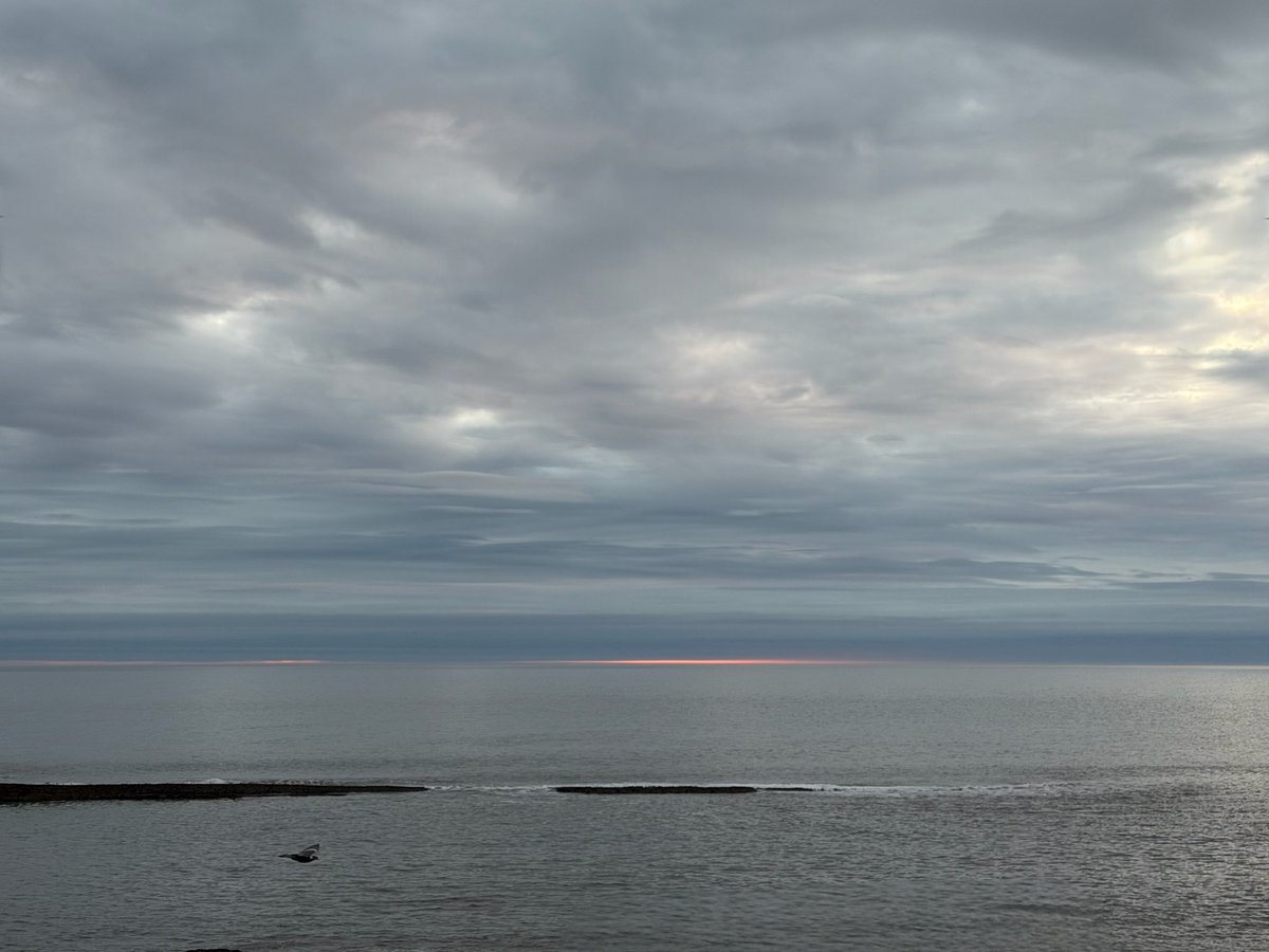 SeaWindowCraster tweet media