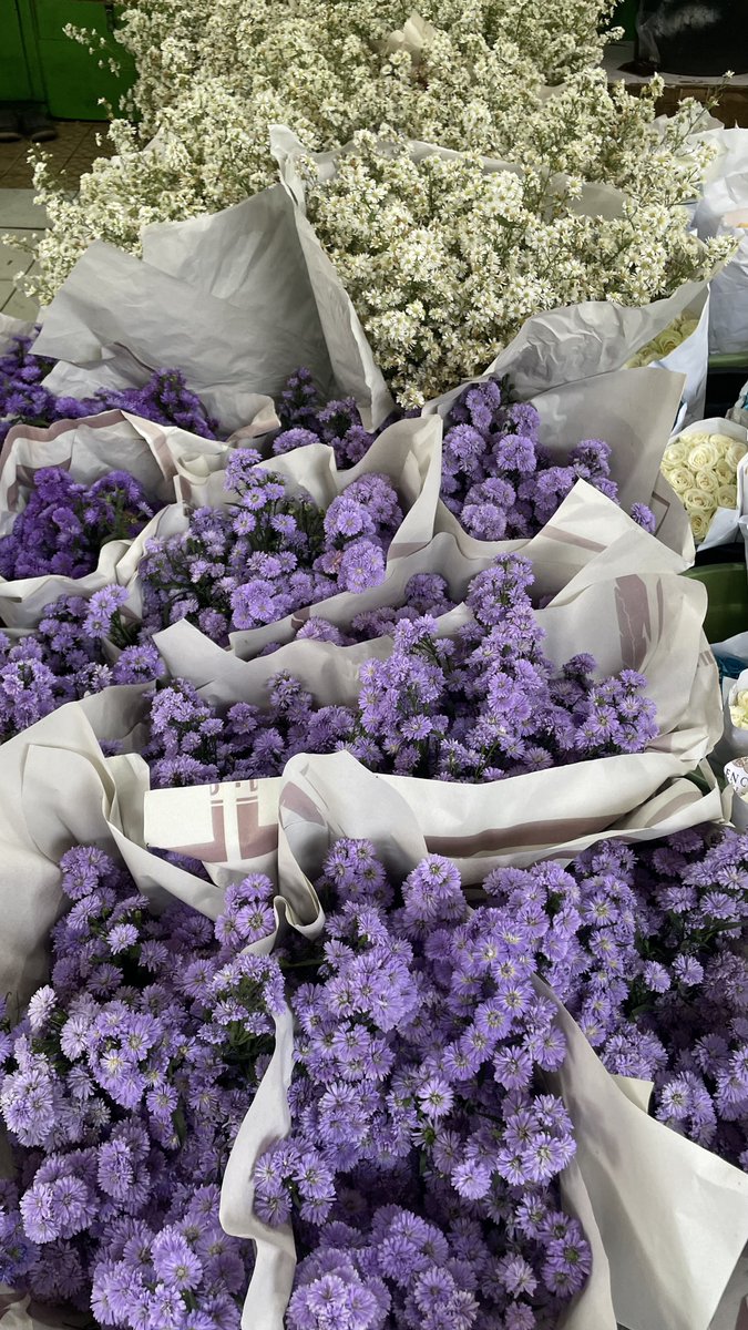 mellifluous tweet media