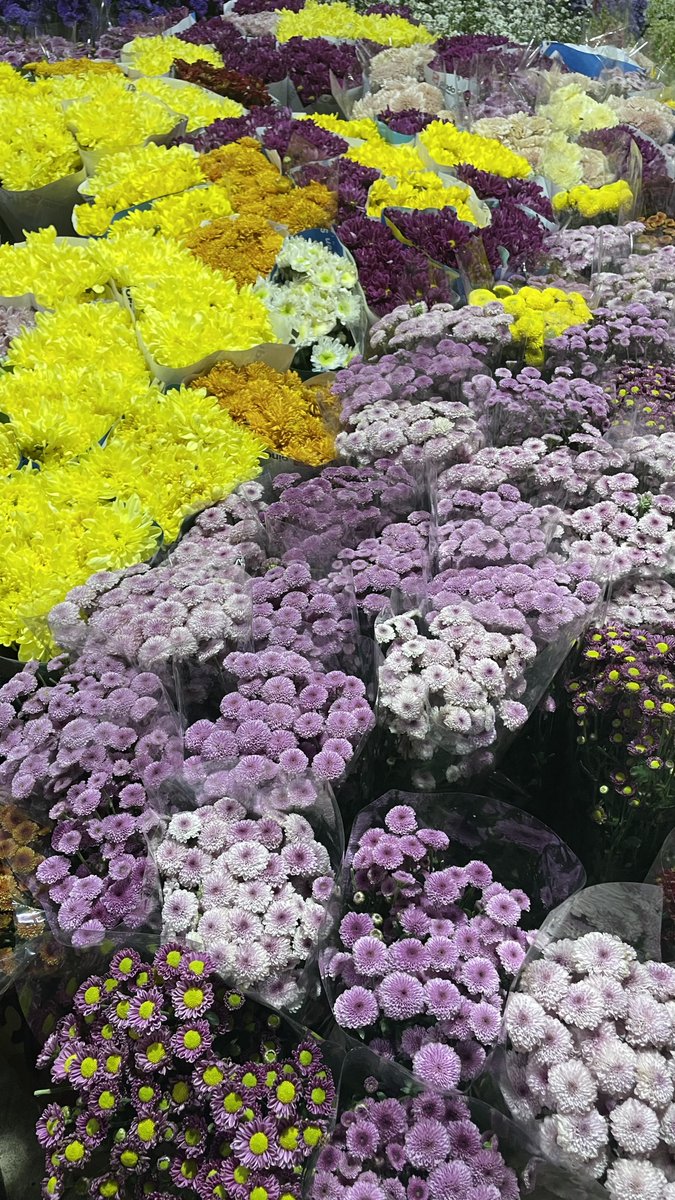 mellifluous tweet media