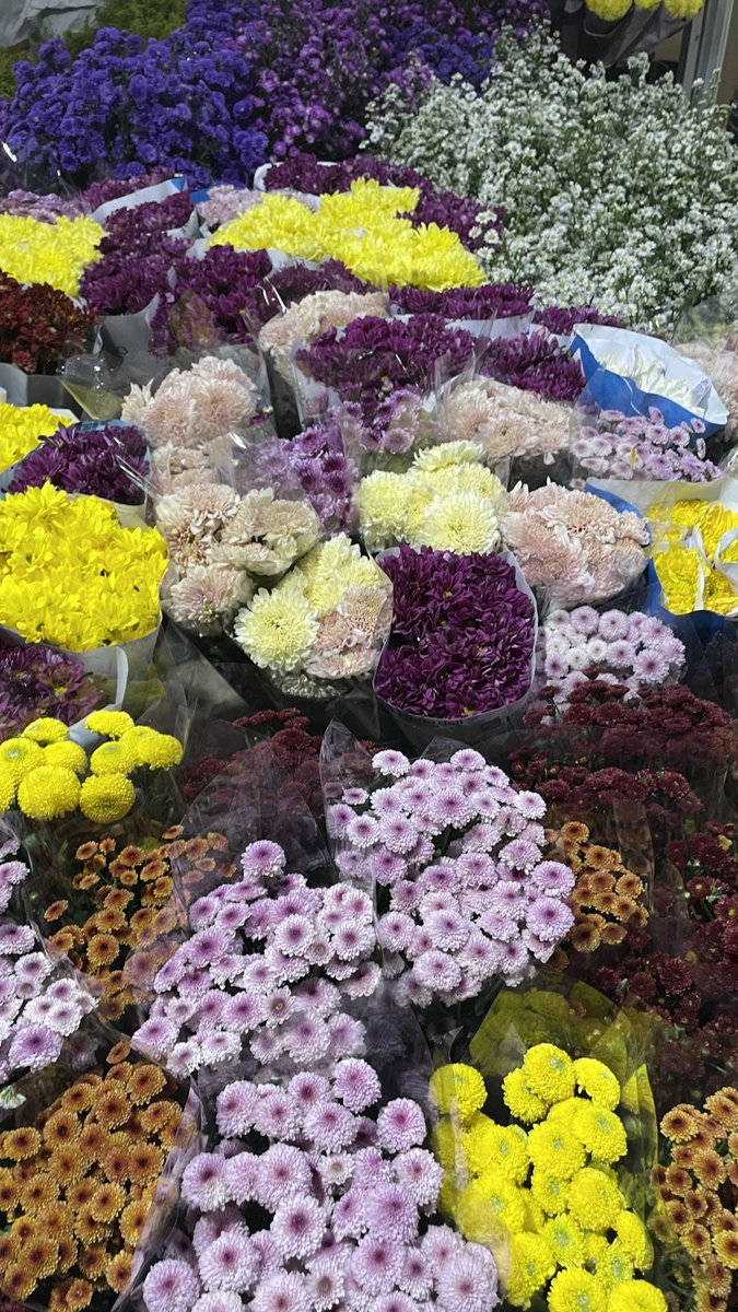 mellifluous tweet media