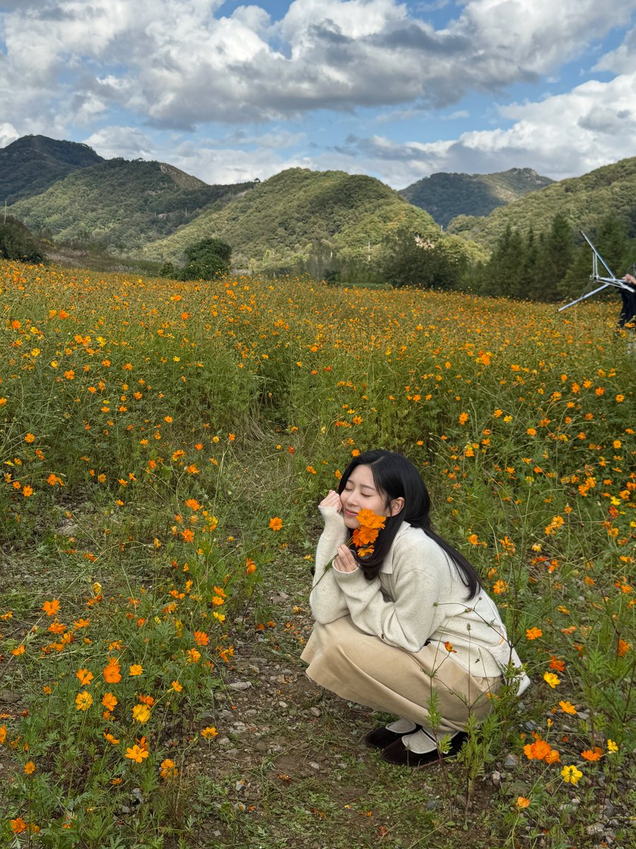 숲블리 tweet media