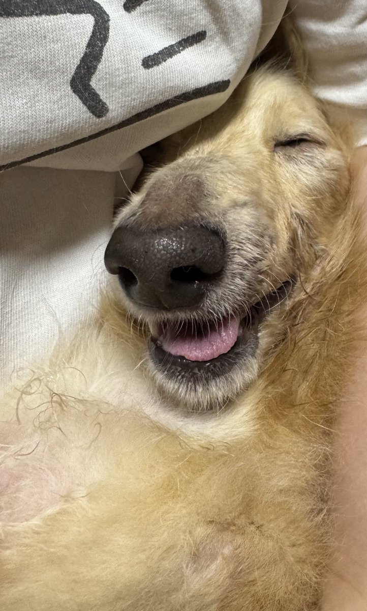 モノ・ク・ロートン@単眼VTuber tweet media