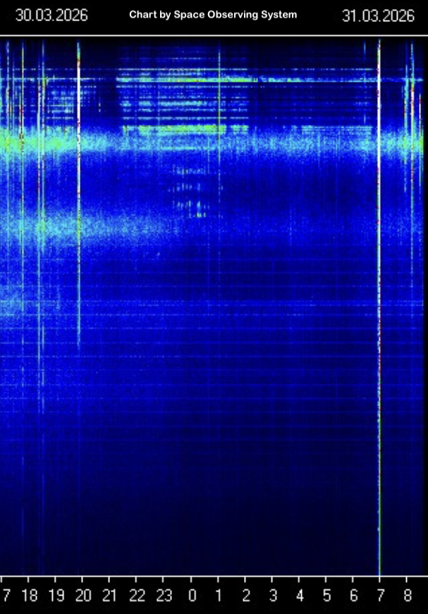 SusanInspired tweet media