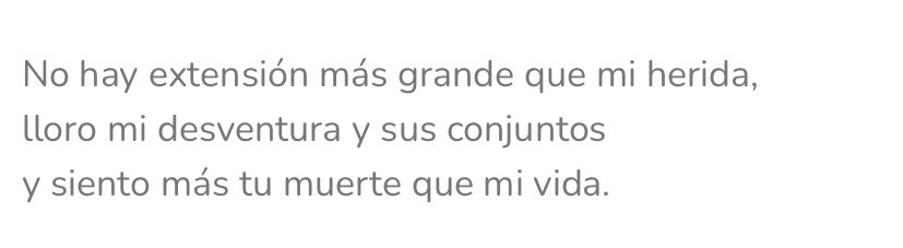 iratxe !! tweet media