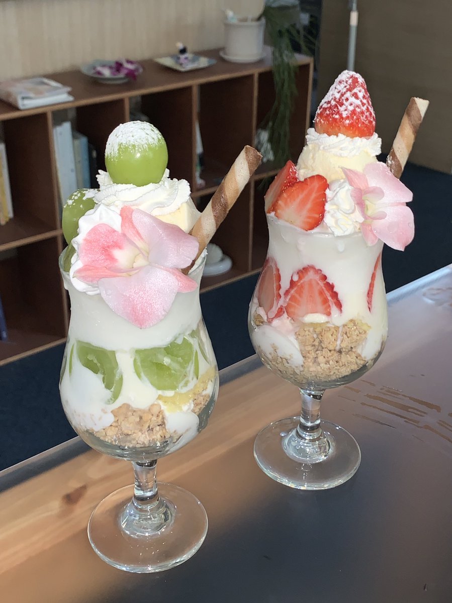 🍧 tweet media