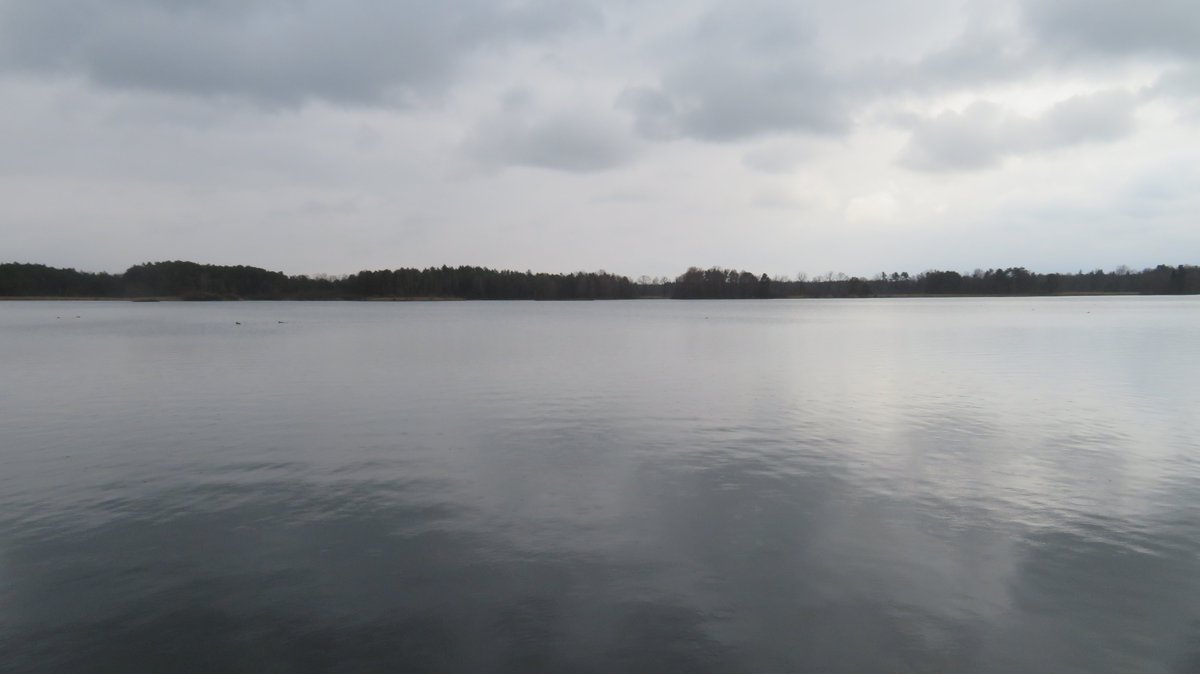 Kouťák tweet media