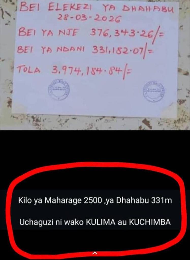 Nuru🌹🌹 tweet media