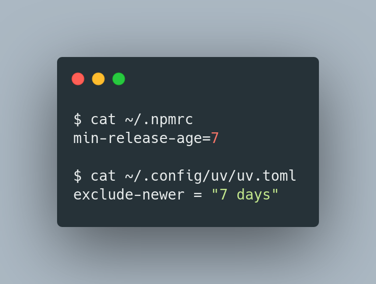 Yuval Adam tweet media