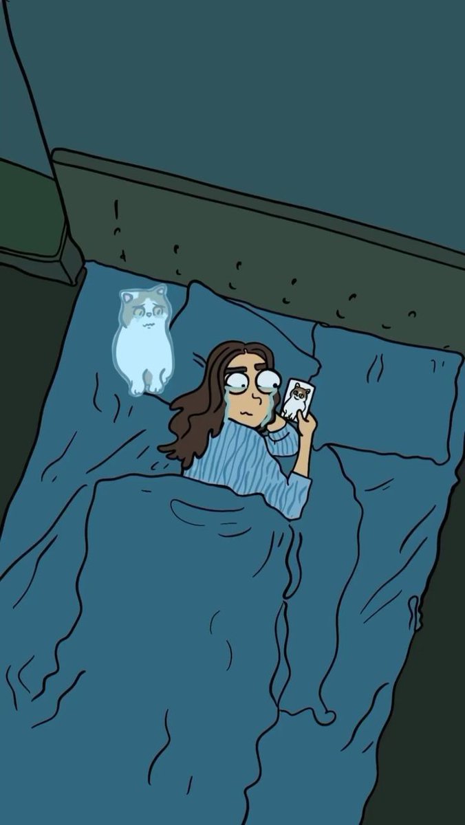 The pets only 🐾 tweet media