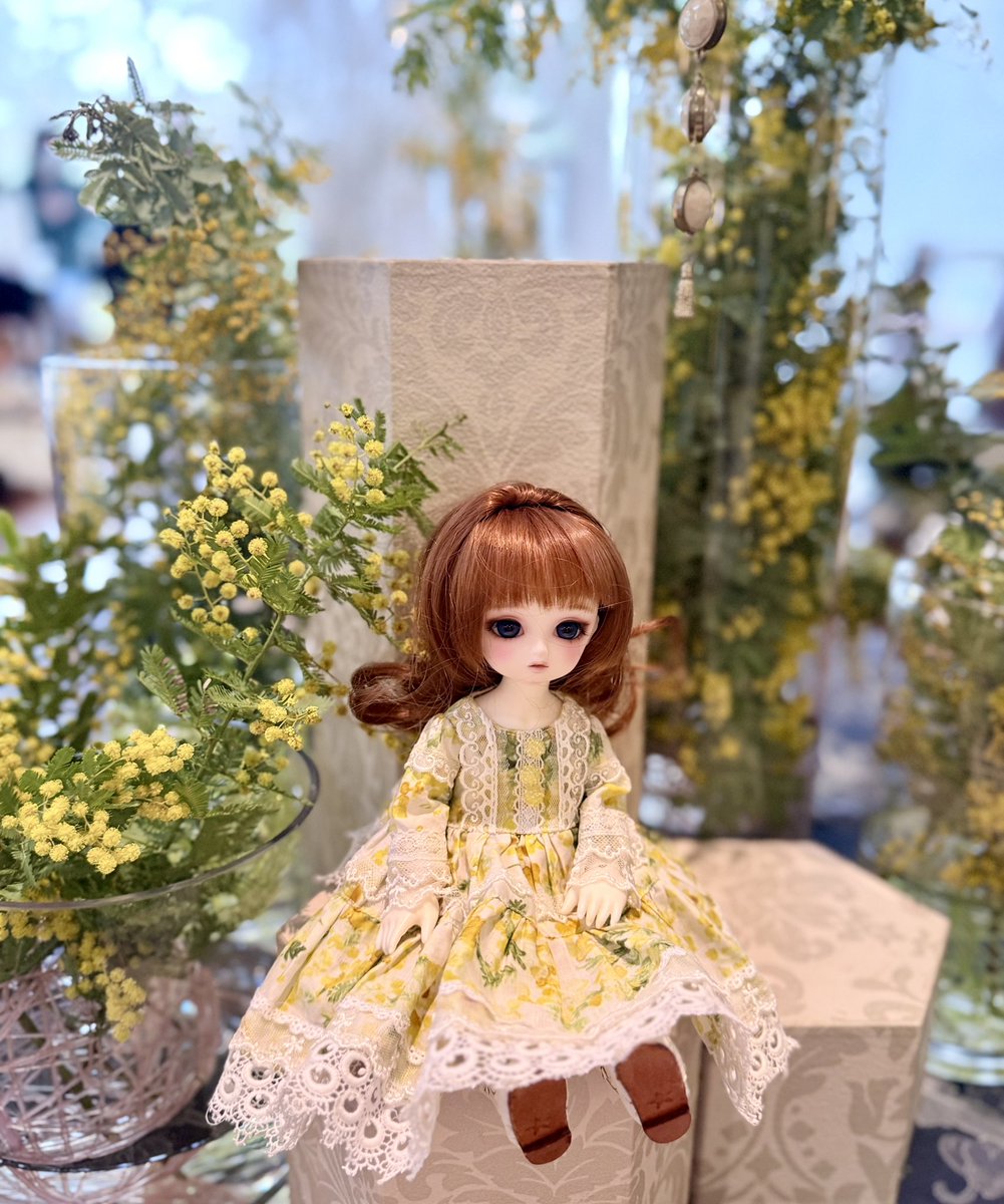 フロゥ tweet media