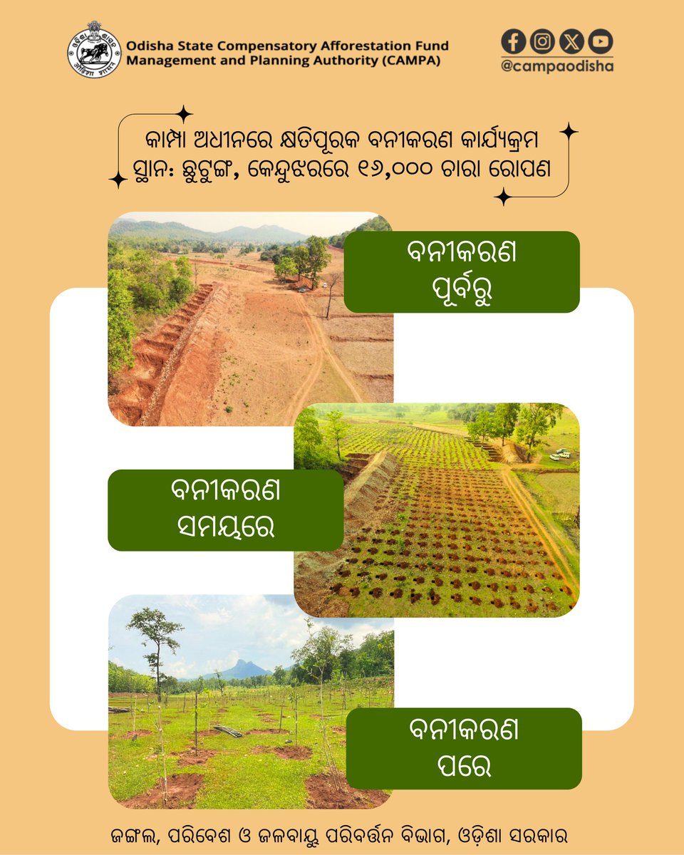 CAMPA ODISHA tweet media