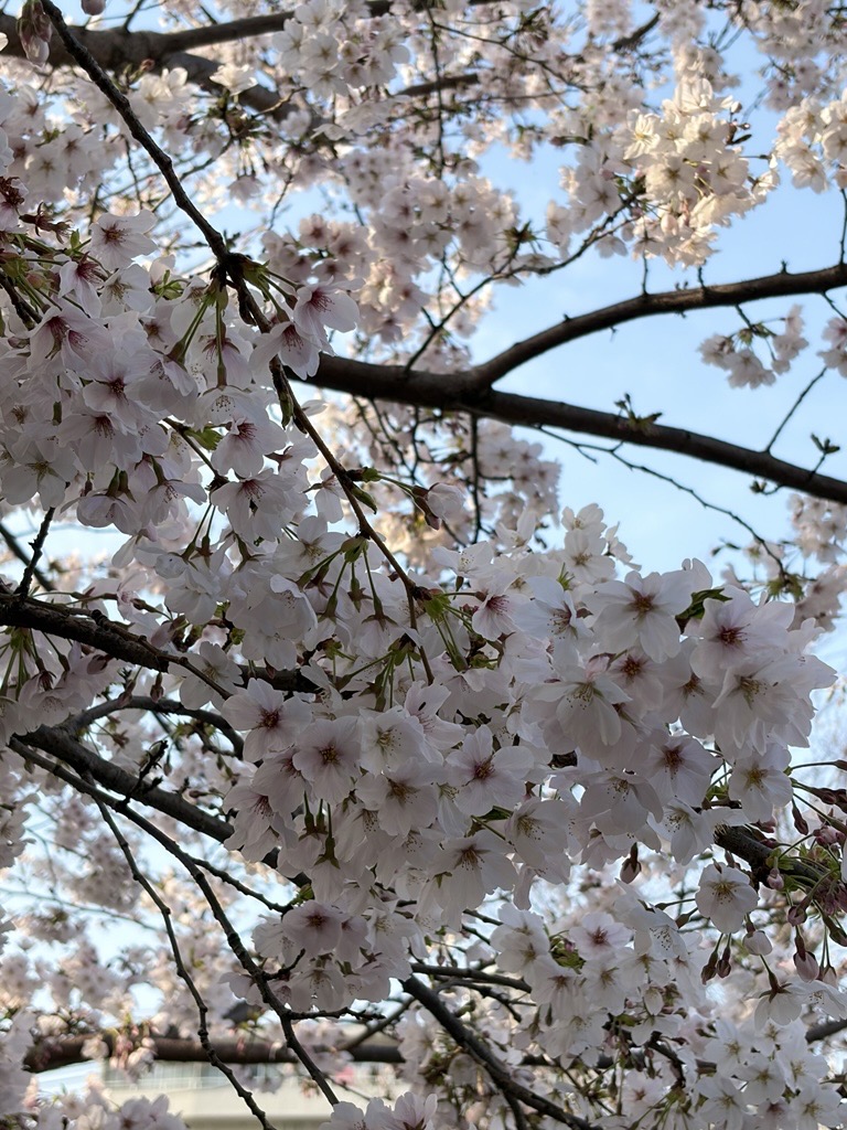 白衣・事務服のフォーク株式会社 tweet media