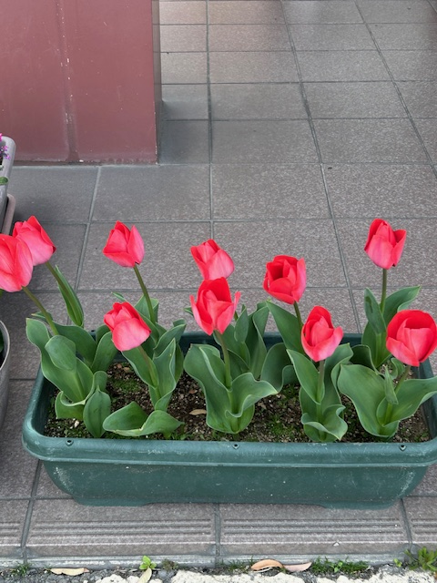 天然温泉　清児の湯 tweet media