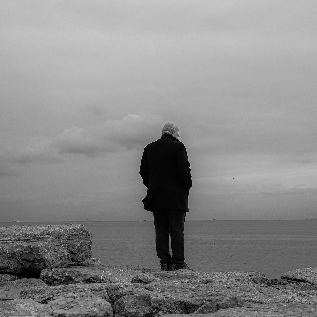 Real Hermandad de San Antonio Abad de Valencia tweet media