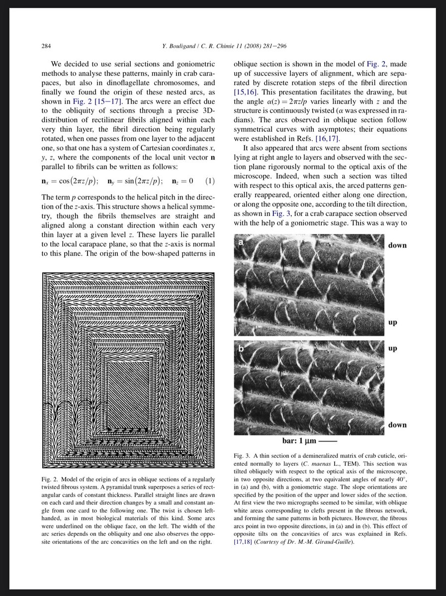 biofeedback369 tweet media