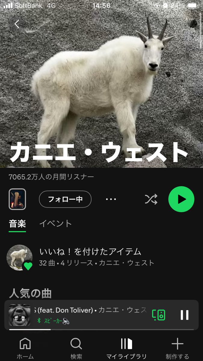 ﾋﾟｯﾋﾟ🦊 tweet media