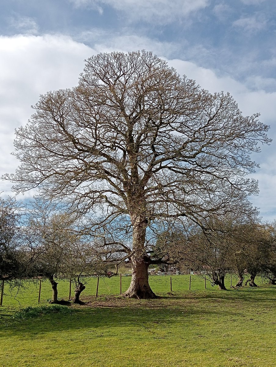 Claire🎗️ tweet media