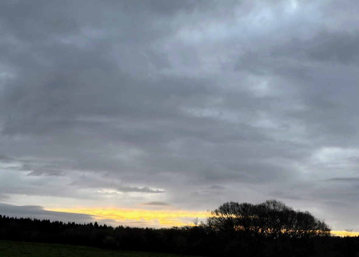 DevilMayCare tweet media