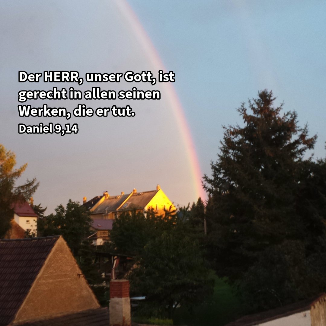 Jörg Bachmann tweet media