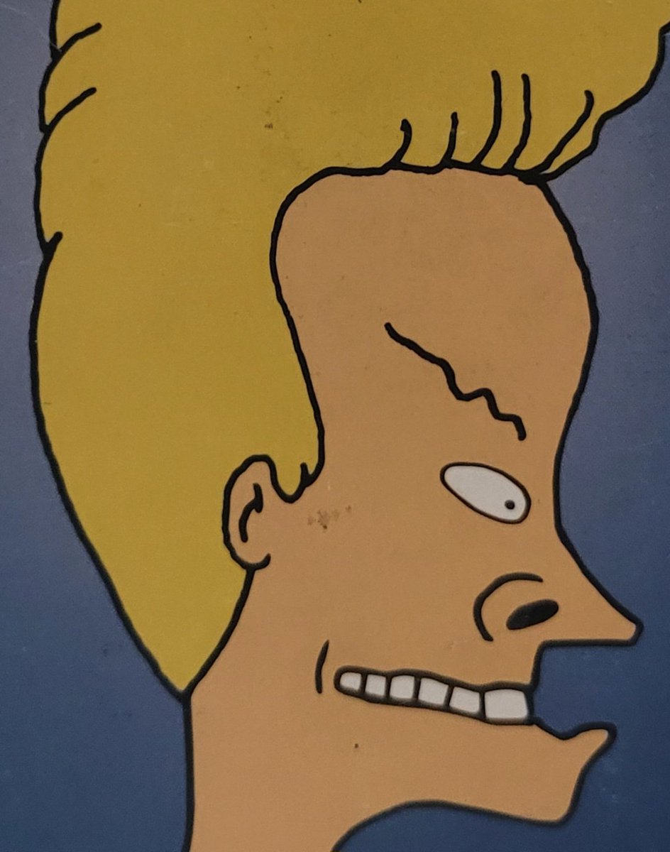 Escarabajo Mierdero tweet media