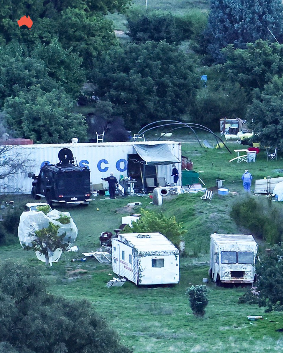 The Australian tweet media