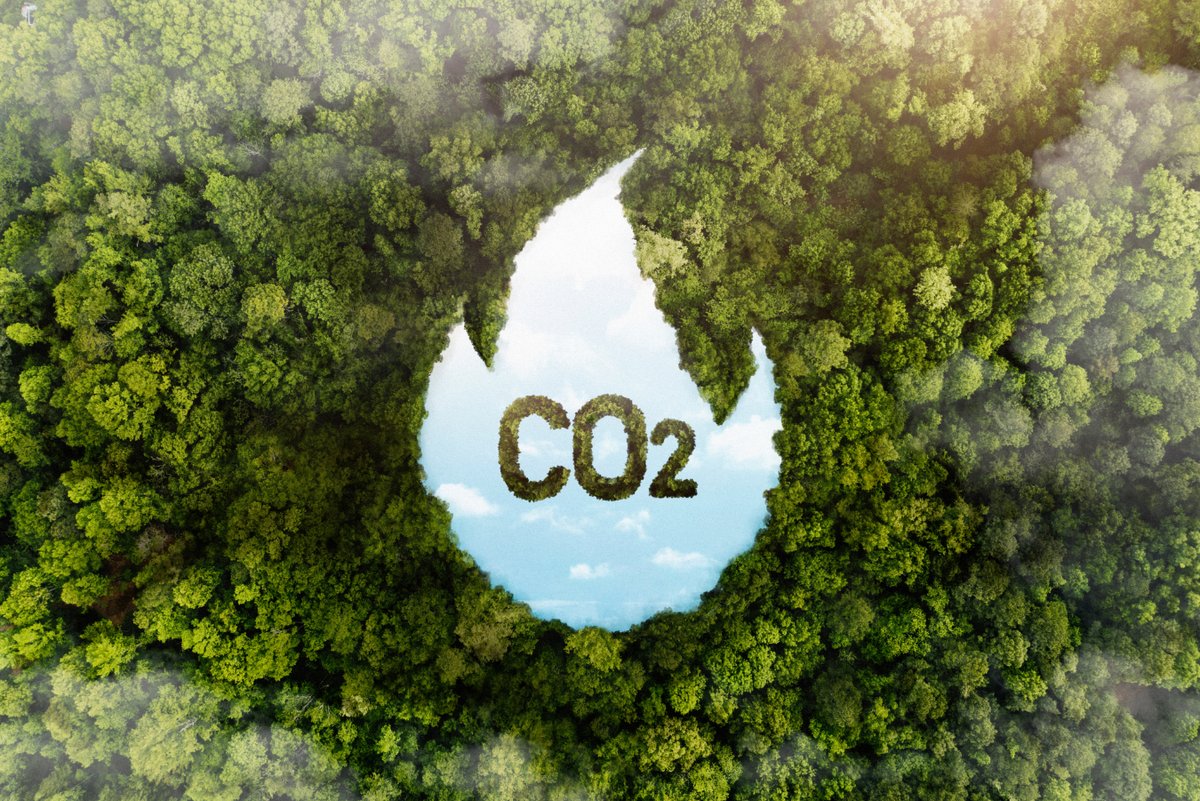 kercia_solution's tweet photo. 🌍 KERCIA publie son 1er #bilancarbone.

Nous avons voulu mesurer précisément notre impact environnemental et les chiffres sont sans appel !

Pour en savoir plus 👉 https://t.co/upFyn97fi7 

#ElectionsProfessionnelles #Cybersécurité #RSE #CSE #Sobriété #Décarbonation https://t.co/zbC5mAahm3