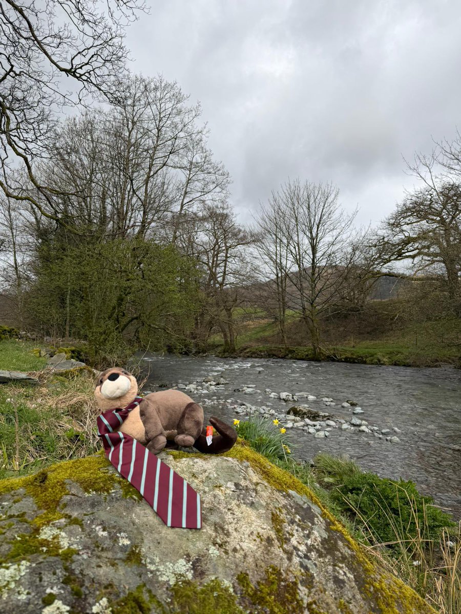 Co-Curricular at St Cuthbert's High School tweet media