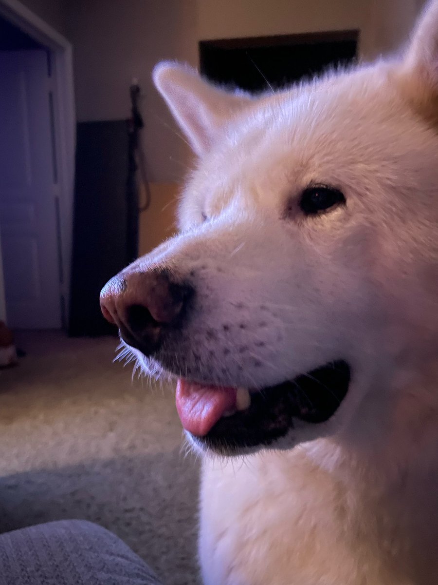 Ancient Astronaut Theorists Keep It 1000 tweet media