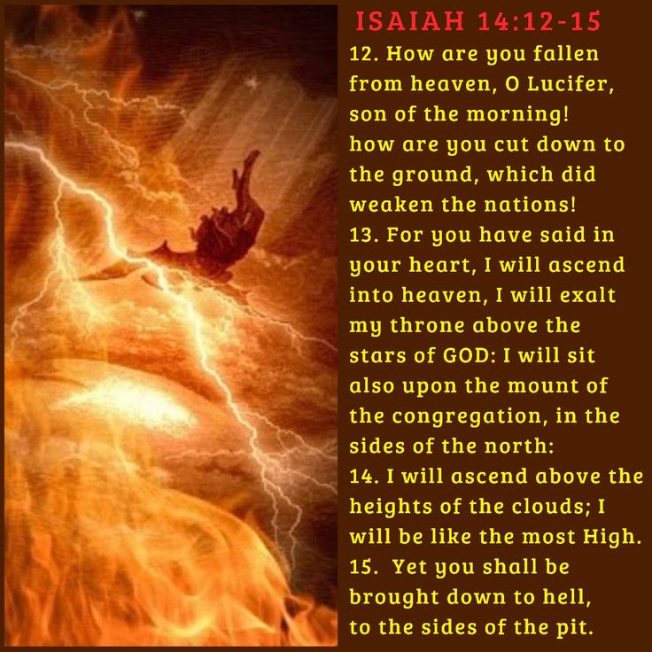 Matthew Linstad tweet media