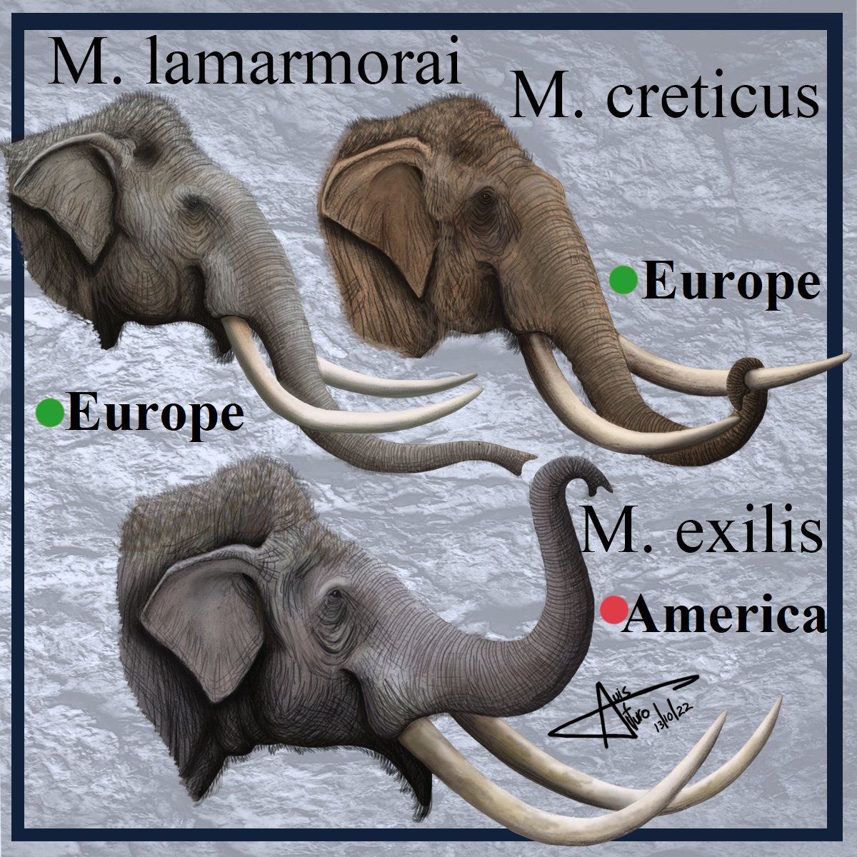 LADAlbarran2001 tweet media