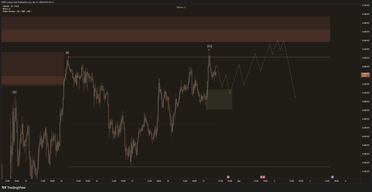 DOWZ ⭕️ tweet media
