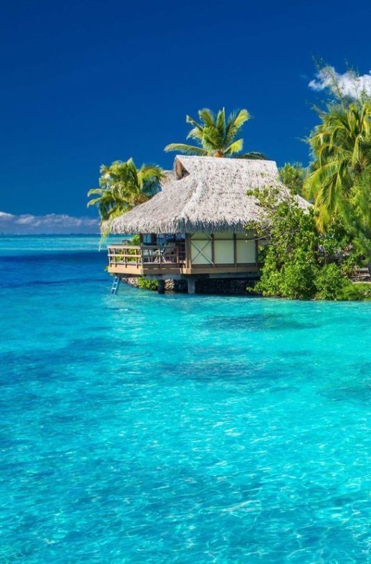 PureView77's tweet photo. Bora Bora, French Polynesia 🇵🇫 https://t.co/n0uYSACU71