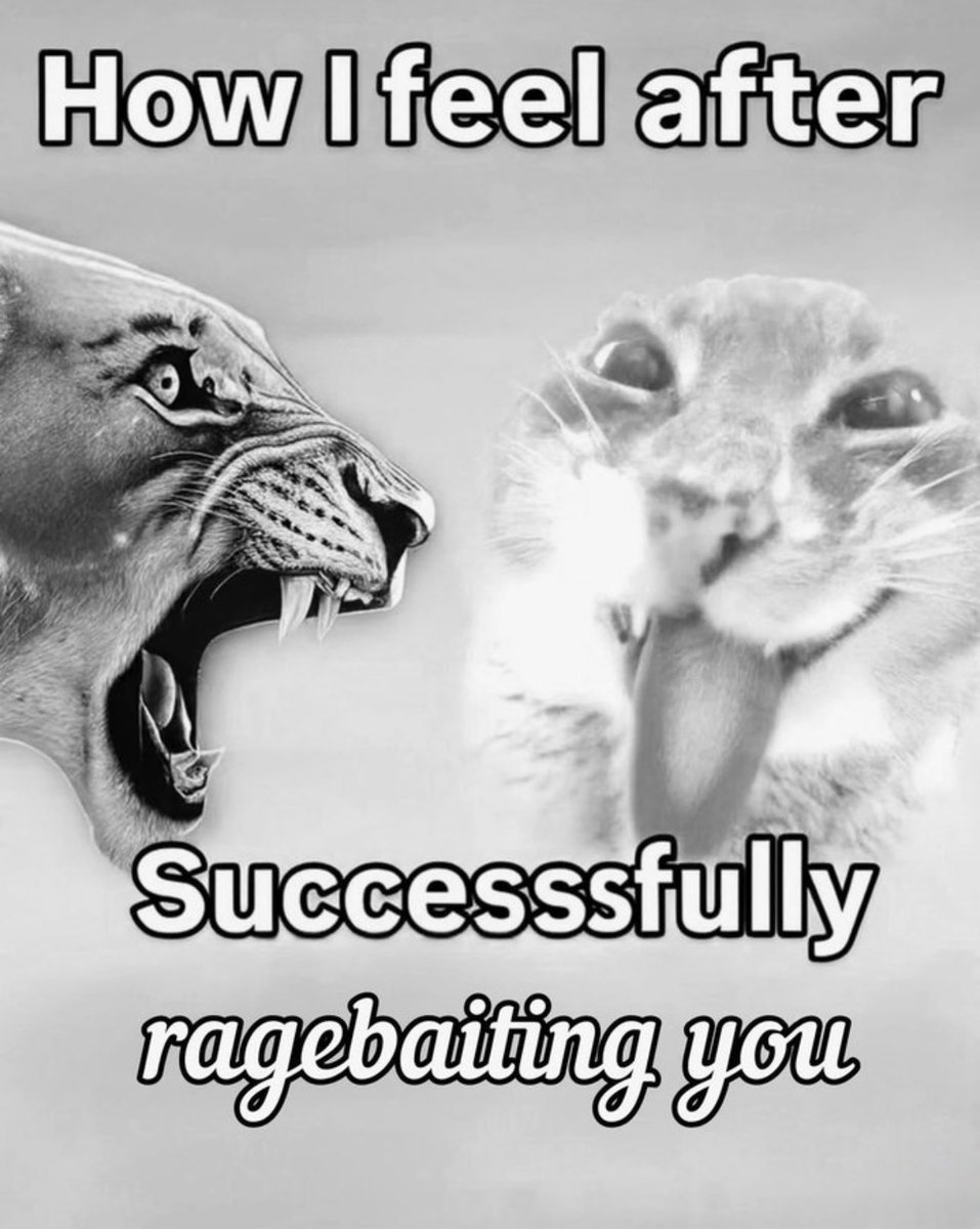 Respectful Memes tweet media