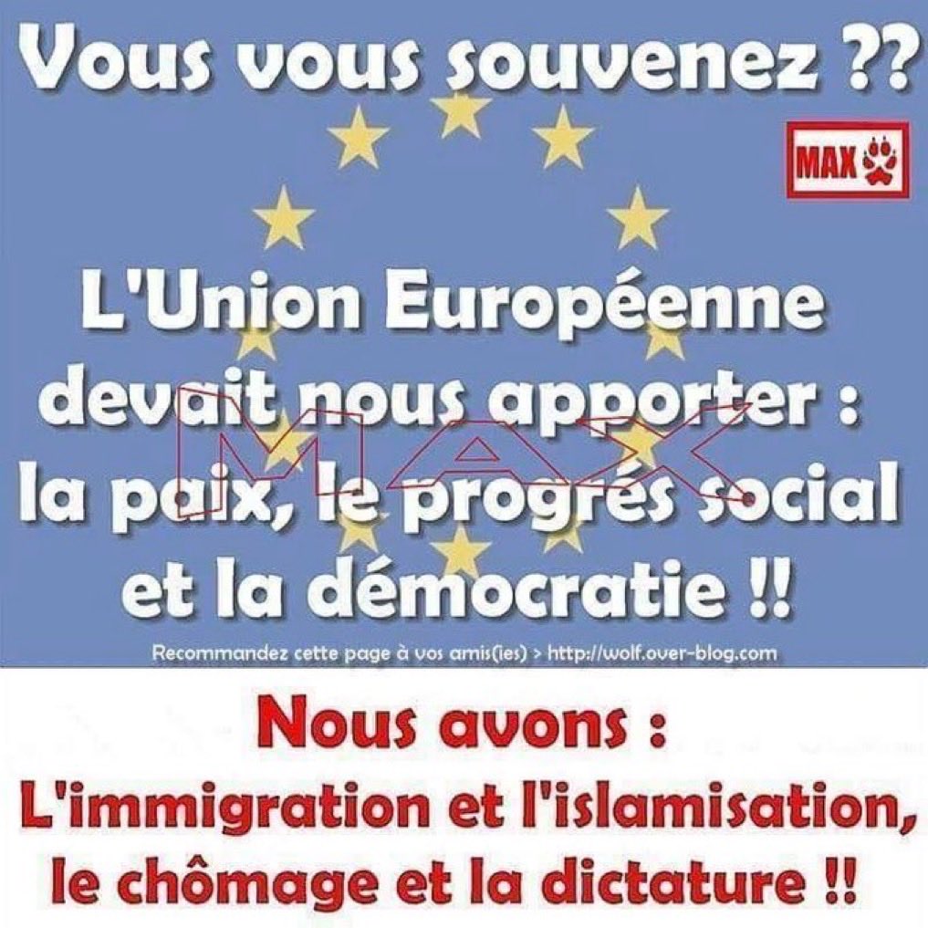 🇫🇷Gerry tweet media