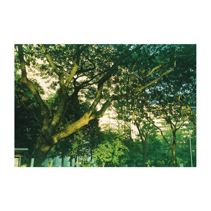 सत्यम् सिंह। tweet media