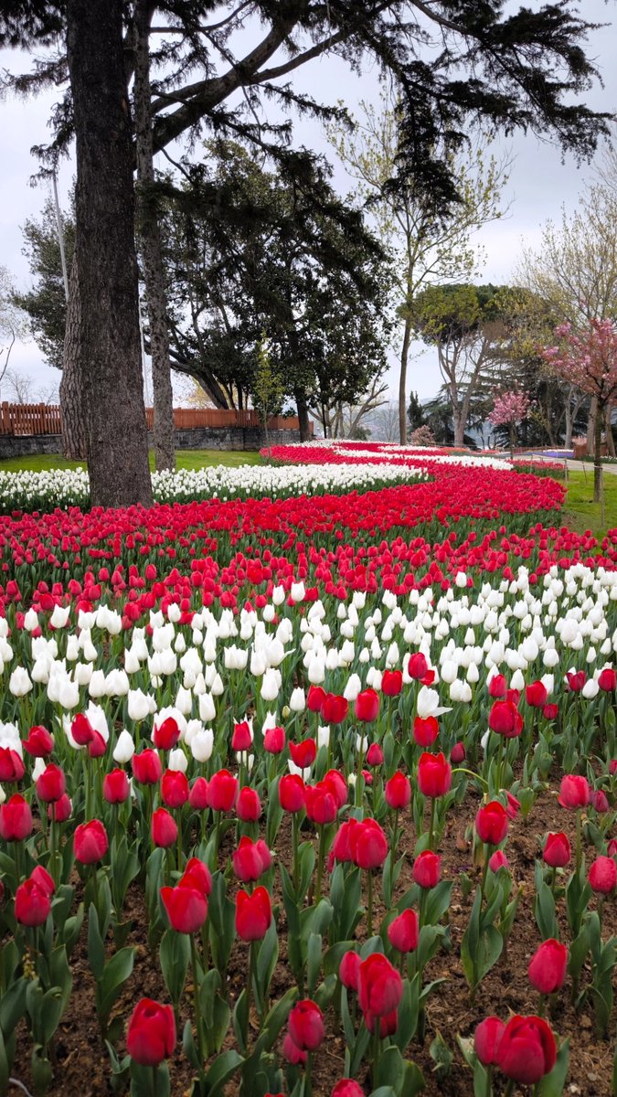 Aydın53🇹🇷 tweet media