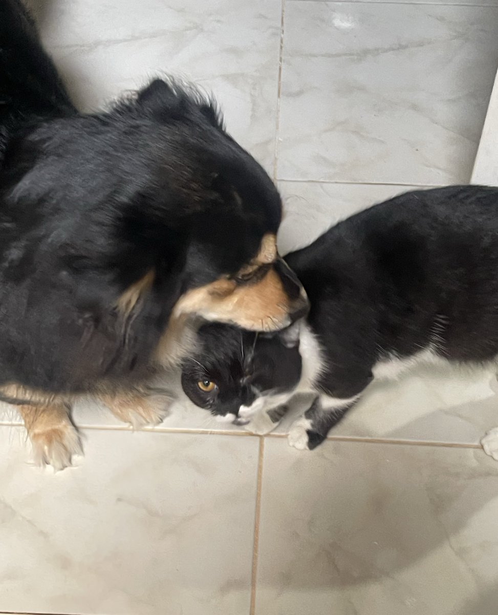 ☃️Nooniiz•ヌン•눈❄️ tweet media