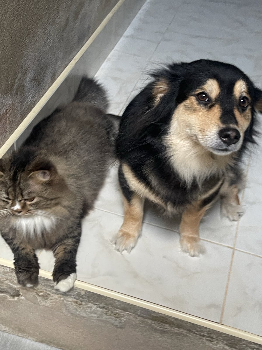 ☃️Nooniiz•ヌン•눈❄️ tweet media