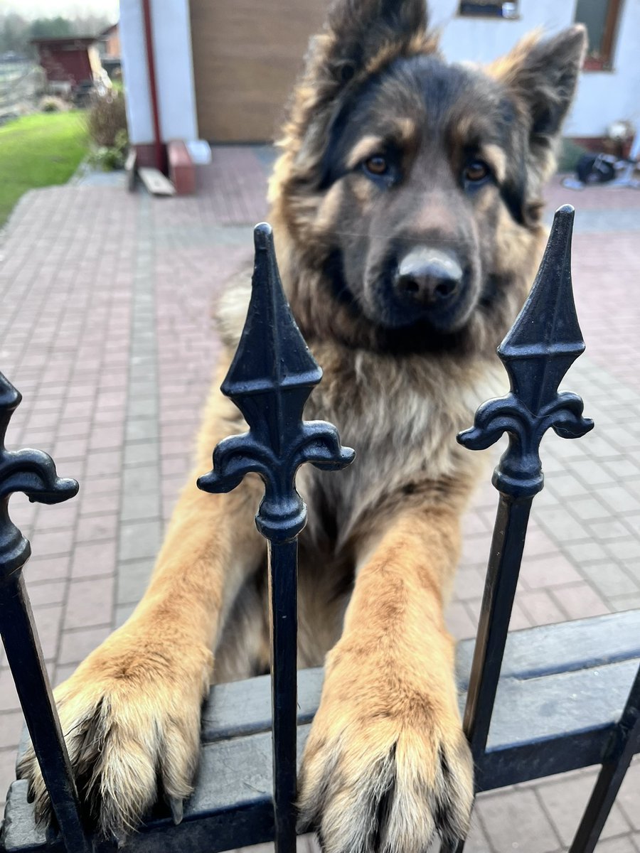 j𐙚ssi tweet media