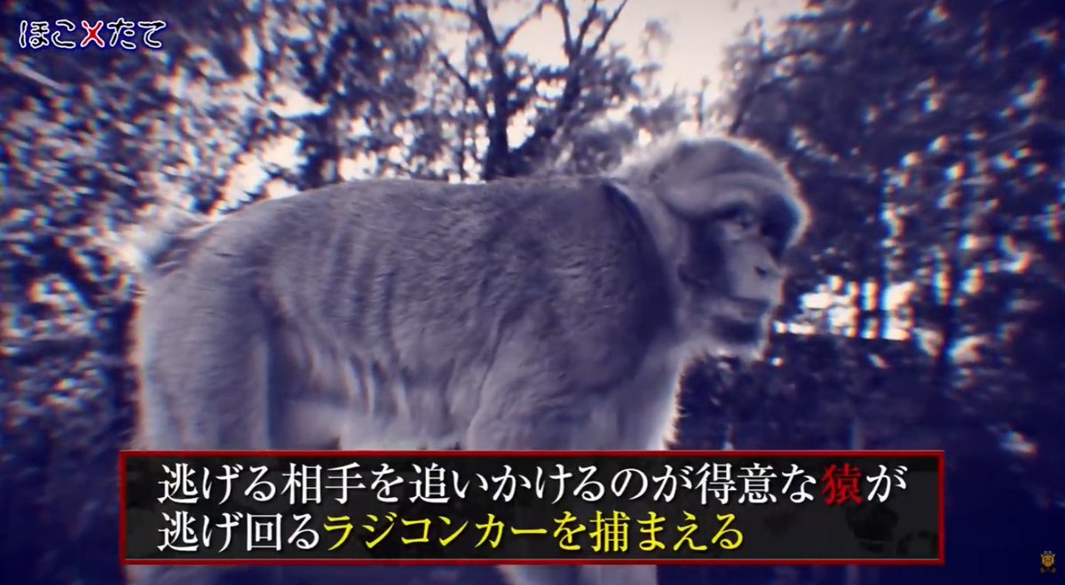 キリン【考察系都市伝説】 tweet media