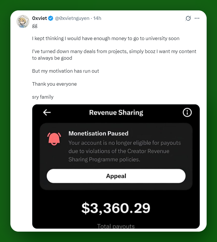 Solo Top tweet media