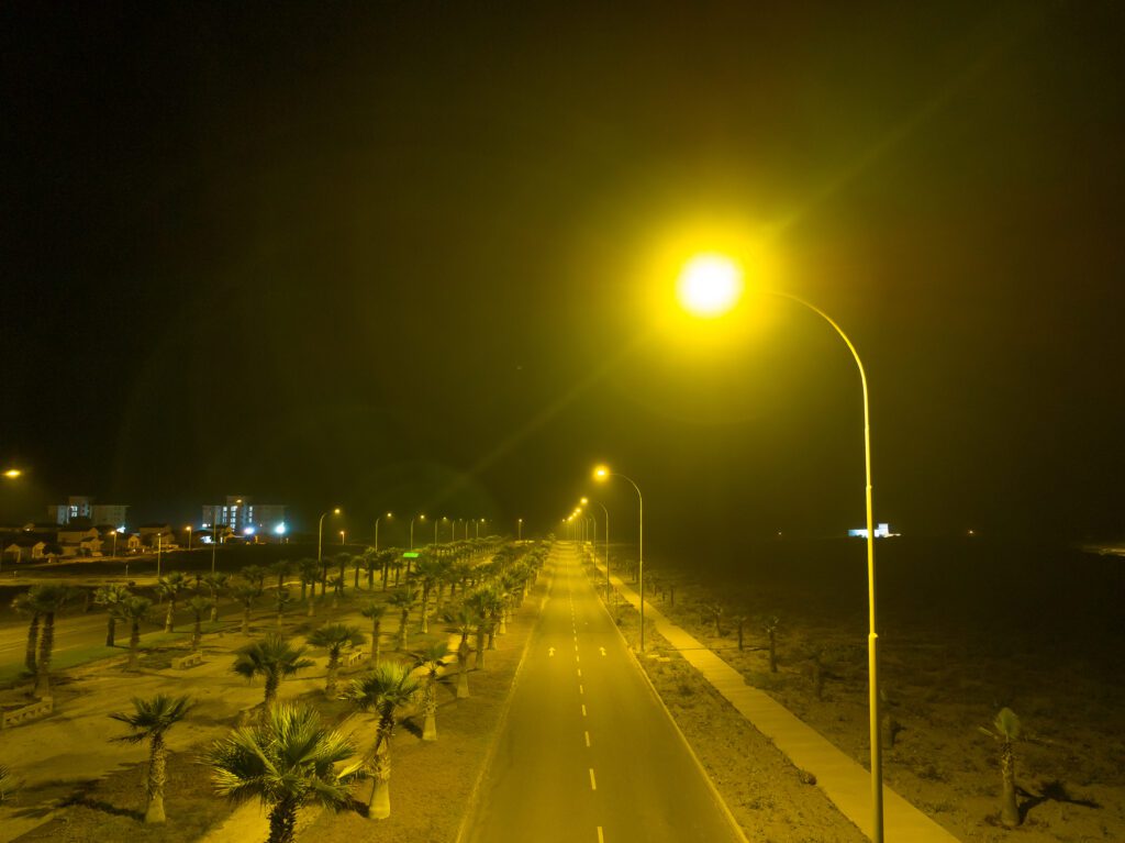 Felipe Salazar 🐍₿⚡丰🦡 tweet media